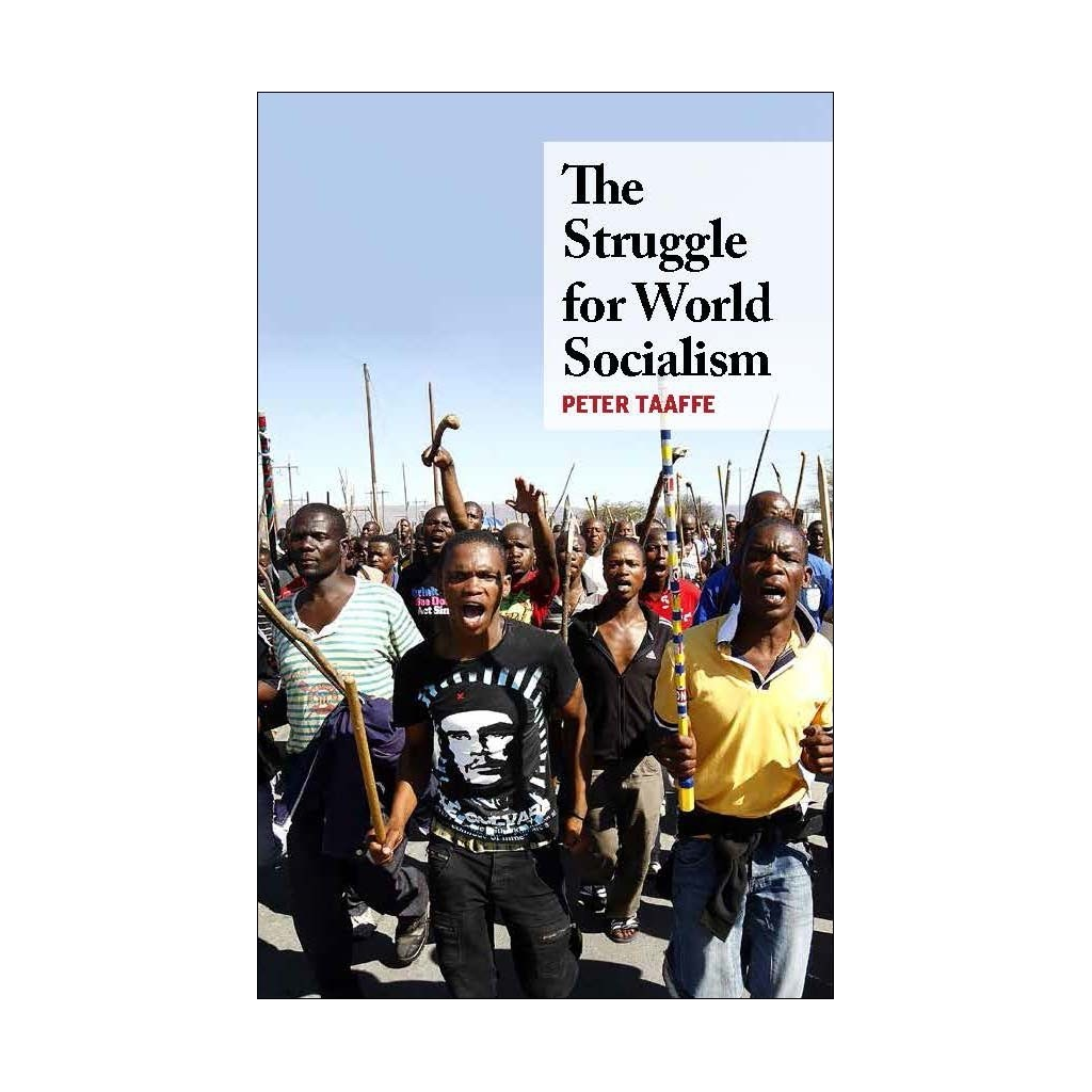 The Struggle for World Socialism, Peter Taaffe